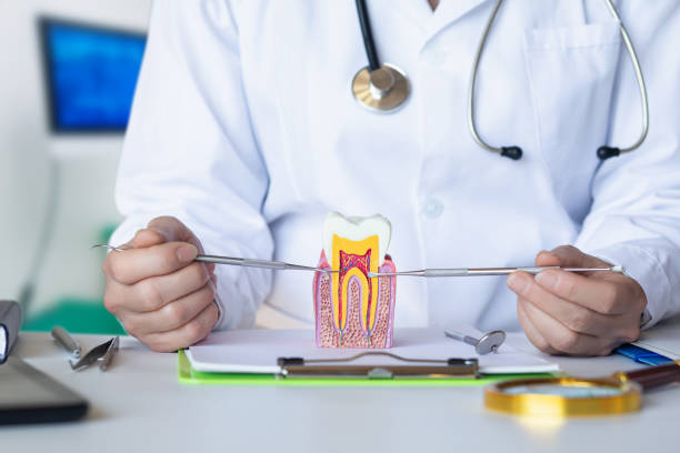 Best Emergency Treatment for Dental Infections or Abscesses in Clyde Hill, WA